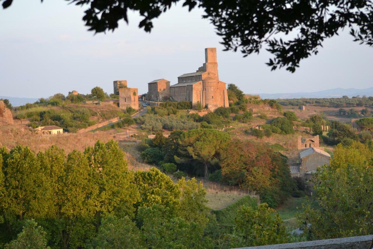 Villa Il Riuscello à Tuscania Extérieur photo